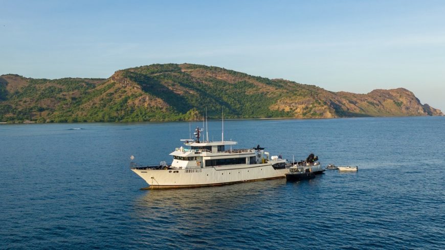 IMMORTALIS | 1996 148ft (45M) Steel Explorer Yacht built by Japanese shipyard Niigata