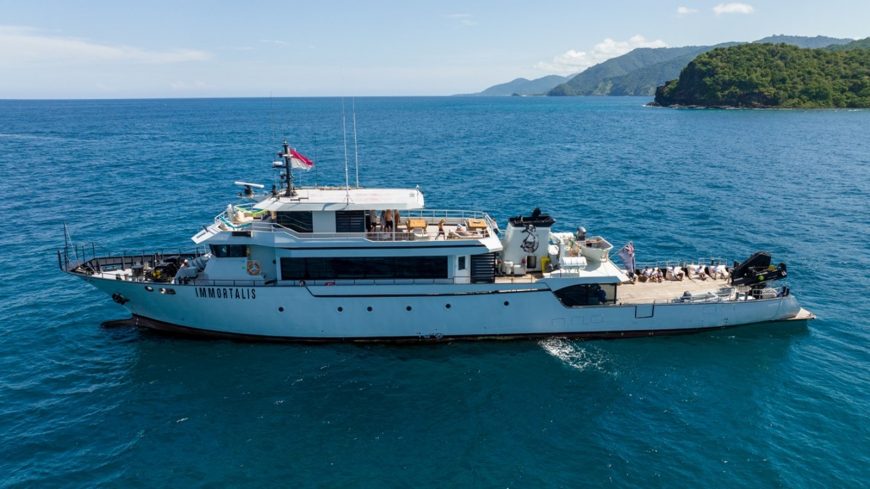 IMMORTALIS | 1996 148ft (45M) Steel Explorer Yacht built by Japanese shipyard Niigata