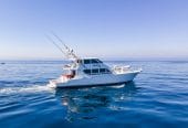 FELINA | 82′ / 25m 1995 HATTERAS Sport Fisherman