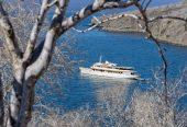 GRACE | 1928 44.81m (147′) Classic Luxury Steel Motor Yacht from British shipyard Camper & Nicholsons