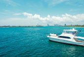 Riviera 51 Series 11 | 2008 17.73m (58.15ft) Open Flybridge Sportfish Motor Yacht