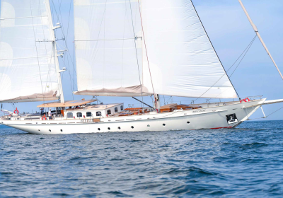 MELODY-2022-41.54m-136.25ft-Sailing-Yacht-for-sale_YachtDealz1